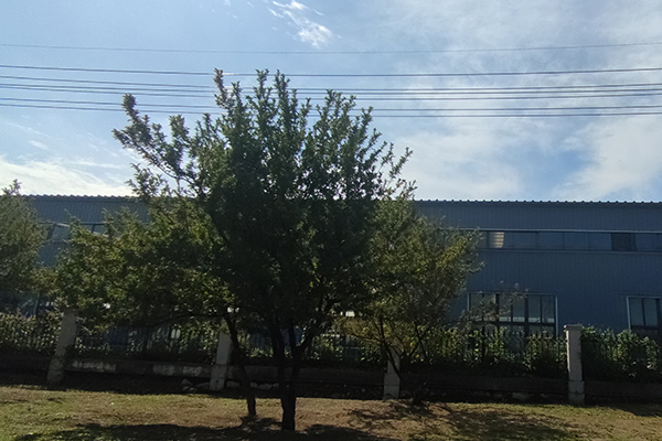 對于撫順鐵嶺沈陽彩鋼廠房的加工質(zhì)量檢測至關(guān)重要